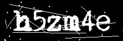 图形验证码