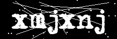 图形验证码